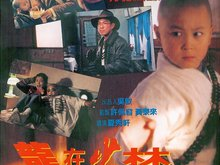 龙在少林国语,武林传奇的崛起之路