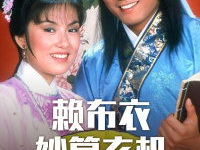 赖布衣妙算玄机国语,揭秘古代风水大师的智慧精髓