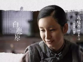 白鹿原电视剧在线观看,穿越历史的长河,探寻家族兴衰之谜