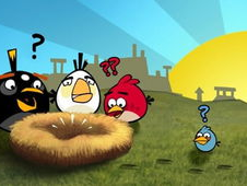 小鸟游戏,飞翔在虚拟天空的冒险之旅