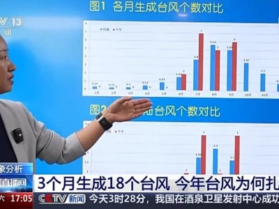 “桦加沙”“博罗依”之后还有台风，今年为何扎堆出没？