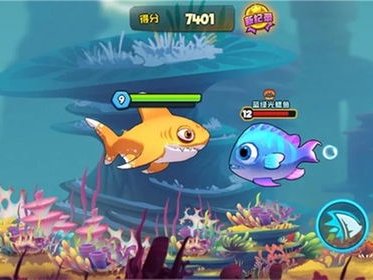 游戏鱼,揭秘游戏鱼的奇幻世界
