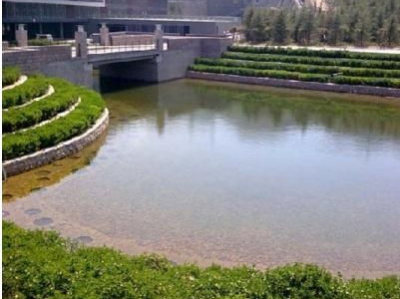 青岛游戏学院,培育未来游戏行业精英的摇篮