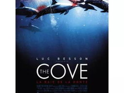 海豚湾 电影,揭露海洋悲剧的震撼纪实