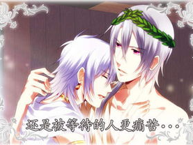 bl游戏cg,BL游戏CG艺术解析