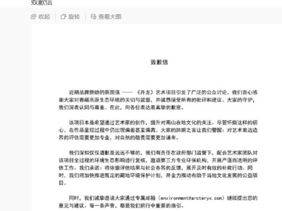 西藏日喀则就烟花秀事件成立调查组，始祖鸟、蔡国强致歉