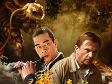 电影寻龙夺宝,惊险探险,揭秘千年宝藏之谜