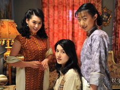 电视剧杀狼花,烽火岁月中的巾帼英雄传奇