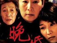 晚婚电视剧,青春的抉择与成长