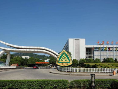 重庆游戏学院,培育游戏行业未来精英的摇篮