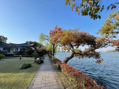 存款100万躺平：一场失败的人生调休实验