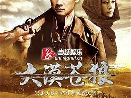 苍狼电视剧全集,烽火岁月中的英雄传奇