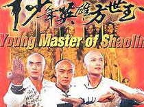 少年英雄方世玉 电视剧,少年英雄的江湖传奇