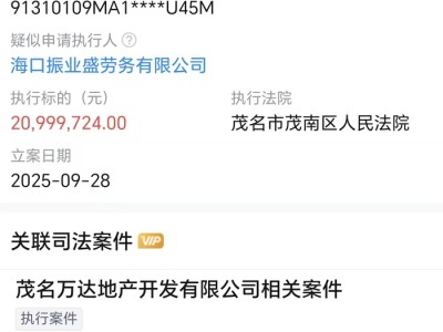 万达地产等被恢复执行2099万，限制消费令高达128条