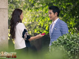 定制幸福电视剧,爱情与梦想的完美交织