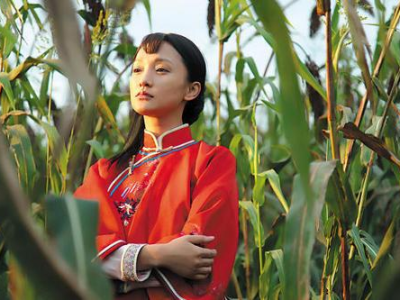 红高粱电视剧在线观看,激情燃烧的岁月，热血沸腾的传奇