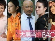 男大当婚电视剧全集,爱情与成长的甜蜜交响曲